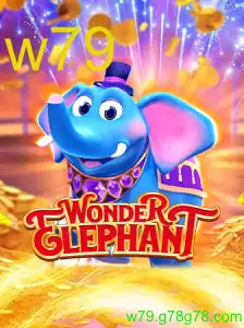 WonderElephant